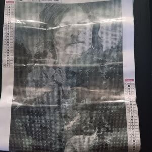 The Walking DeadbDiamond Art Painting Kit with Daryl And Dog Design 30x40